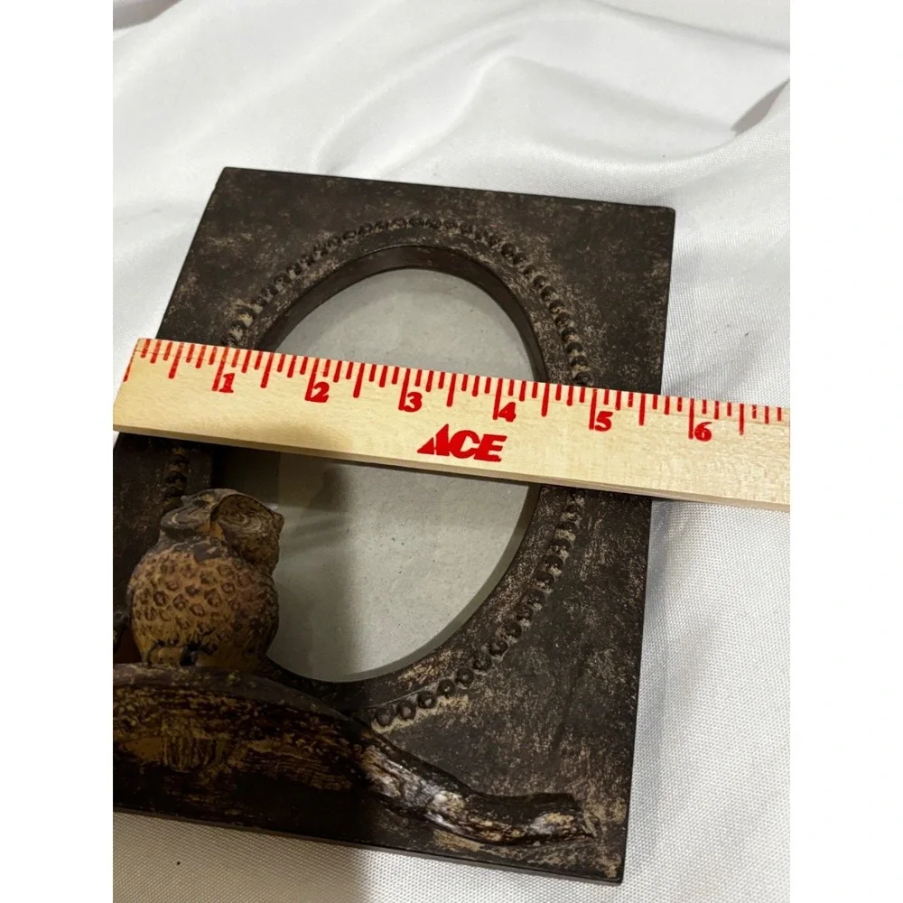 3D Owl Picture photo Frame oval Resin Stone Cabin Country Nature Shabby Chic‎